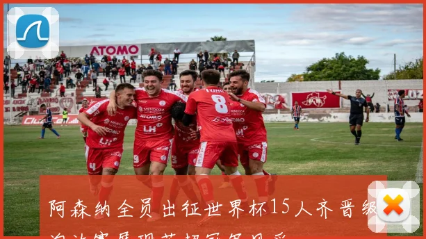 阿森纳全员出征世界杯15人齐晋级淘汰赛展现英超冠军风采